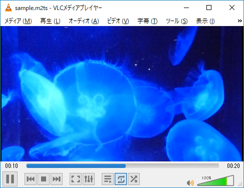 VLC動画再生例